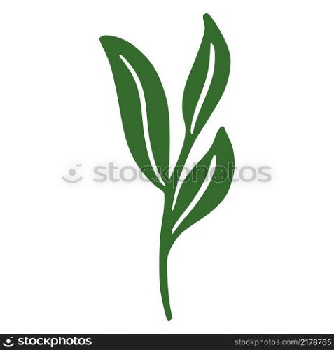 Hand drawn branch with leaves. Print, poster design. Vector illustration. Hand drawn branch with leaves