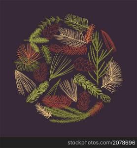 Hand drawn branches and cones of coniferous trees in a circle. Christmas plants. Vector sketch illustration.. Christmas plants set.
