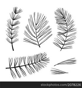 Hand drawn branches of coniferous trees. Christmas plants. Vector sketch illustration.. Branches of coniferous trees. Vector illustration.