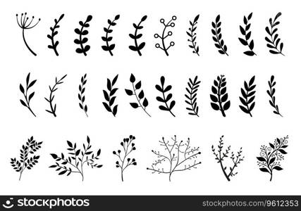 Hand drawn branches with leaves and flowers vector icon