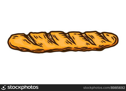 Hand drawn bread illustration. Design element for package, banner, flyer, card. Vector illustration