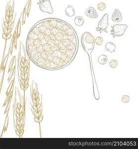 Hand drawn breakfast cereals. Vector background. Sketch illustration. Breakfast cereals. Vector illustration
