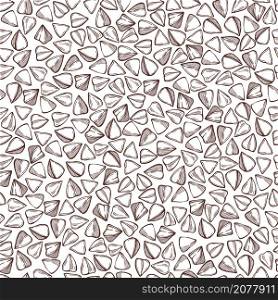 Hand drawn Buckwheat plant ?n white background. Vector seamless pattern.. Buckwheat plant. Vector pattern.