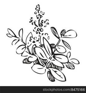 Hand drawn bush whith flowers, branches, leaves. Meadow plant engraving sketch garden. Isolated black lines on white background.Vector illustration, greeting card, logo, branding design, poster, print