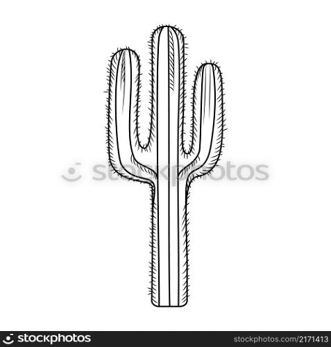 Hand drawn cactus isolated on white background. Engraving vintage style. Vector illustration.. Hand drawn cactus isolated on white background. Engraving vintage style.