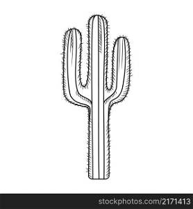Hand drawn cactus isolated on white background. Engraving vintage style. Vector illustration.. Hand drawn cactus isolated on white background. Engraving vintage style.