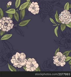 Hand drawn camellia flowers . Vector background. Sketch illustration.. Camellia flowers. Vector background.