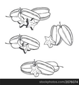 Hand drawn carambola or star apple fruit on white background.Vector sketch illustration.. Tropical fruits. Vector illustration
