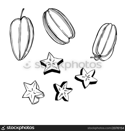 Hand drawn carambola or star apple fruit. Vector sketch illustration.. Tropical fruits. Vector illustration