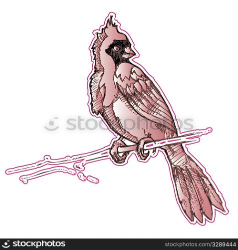 Hand drawn cardinal on perch.