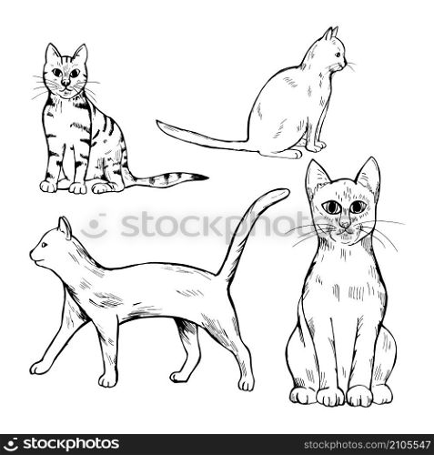 Hand drawn cats on white background. Vector sketch illustration.. Cats on white background. Vector illustration.