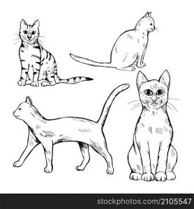 Hand drawn cats on white background. Vector sketch illustration.. Cats on white background. Vector illustration.