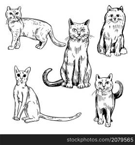 Hand drawn cats. Vector sketch illustration.. Cats. Vector sketch illustration.