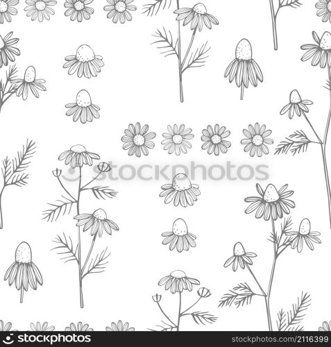 Hand drawn chamomile flowers on white background .Vector seamless pattern