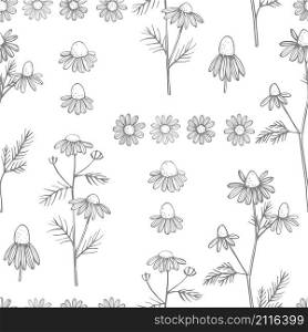 Hand drawn chamomile flowers on white background .Vector seamless pattern