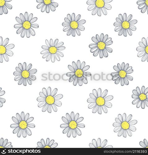 Hand drawn chamomile flowers on white background .Vector seamless pattern. Hand drawn chamomile flowers