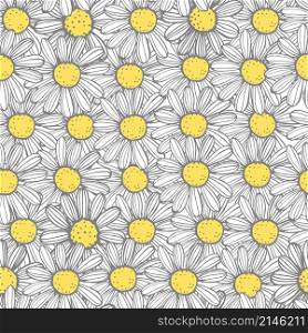 Hand drawn chamomile flowers. Vector seamless pattern. Hand drawn medicinal herbs.Vector sketch illustration.