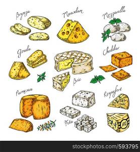 Hand drawn cheese. Doodle appetizers and food slices, different cheese types Parmesan, brie cheddar feta. Vector vintage sketch of snacks assorted. Hand drawn cheese. Doodle appetizers and food slices, different cheese types Parmesan, brie cheddar feta. Vector sketch of snacks