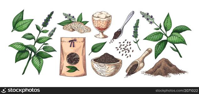 Hand drawn chia. Plants and grains. Flowers or leaves. Vegan superfood hand drawn graphic. Diet products. Spoon with seeds and paper packaging. Healthy desserts. Vector botanical isolated elements set. Hand drawn chia. Plants and grains. Flowers or leaves. Vegan superfood hand drawn graphic. Diet products. Spoon with seeds and packaging. Healthy desserts. Vector botanical elements set