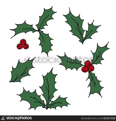 Hand drawn Christmas and New Year holly leaves bunch with berries. Holiday clipart