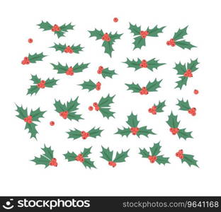 Hand drawn christmas holly on white background Vector Image