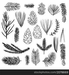 Hand drawn Christmas plants set. Branches and cones of coniferous trees. Vector sketch illustration.. Hand drawn Christmas plants set. Vector sketch illustration.