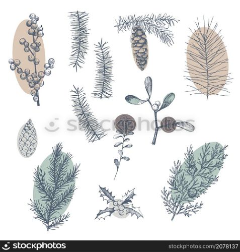 Hand drawn Christmas plants set. Vector sketch illustration.