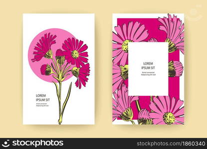 Hand drawn Chrysanthemum flowers greeting card, artistic vector illustration. Botanical wedding ornament. Petals painted in pink. Floral trendy pattern background. Design banner. Magenta, white colors