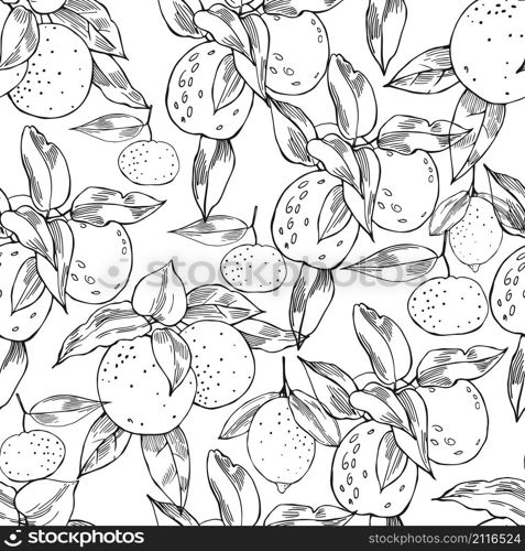 Hand drawn citrus fruits.Vector seamless pattern