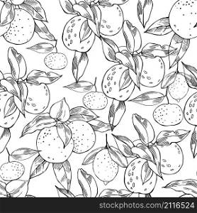Hand drawn citrus fruits.Vector seamless pattern