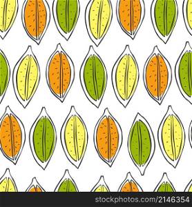 Hand drawn citrus slices on white background. Vector seamless pattern.. Hand drawn fruits. Vector pattern.