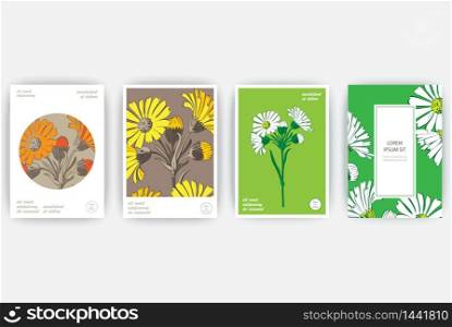 Hand drawn close-up Chrysanthemum flower artistic vector illustration. Botanical wedding flowers. Petals painted in white yellow orange colors. Floral trendy pattern Greeting card invitation green background set