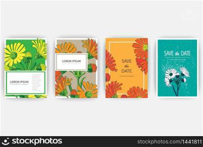 Hand drawn close-up Chrysanthemum flower artistic vector illustration. Botanical wedding flowers. Petals painted in yellow orange red colors.Floral trendy pattern Greeting card invitation background set