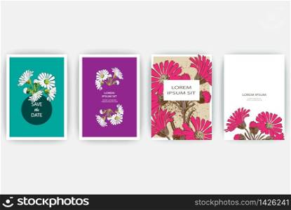 Hand drawn close-up natural Chrysanthemum flower artistic vector illustration. Botanical wedding ornament plant. Petals are painted in white, pink. Floral trendy pattern poster, invite. Decorative greeting card invitation design background set