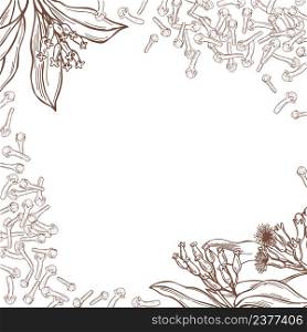 Hand-drawn clove. The pods and flowers. Vector background. Sketch illustration.. Hand-drawn clove. Vector background.