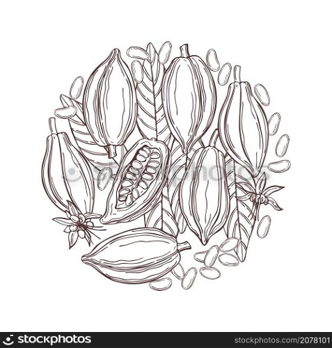 Hand drawn cocoa bean in a circle. Vector sketch illustration. Hand drawn cocoa bean. Vector sketch illustration