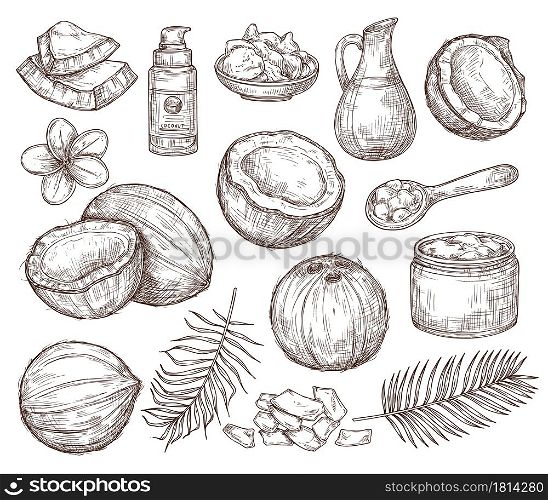 Hand drawn coconut. Summer sketch, beach palm exotic flowers. Organic raw coco oil and cosmetics, drawing tropical leaves exact vector set. Illustration coconut and summer exotic fruit. Hand drawn coconut. Summer sketch, beach palm exotic flowers. Organic raw coco oil and cosmetics, drawing tropical leaves exact vector set