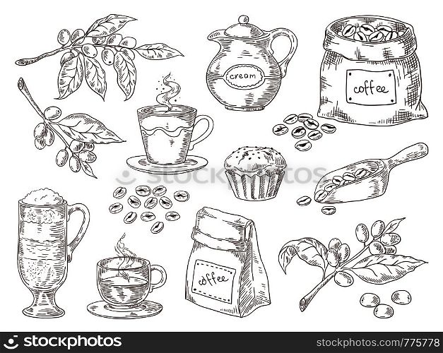 Hand drawn coffee beans. Vintage sketch of coffee leaves branch roasted beans and bag. Vector isolated retro graphic sketch scoop and cup on white background. Hand drawn coffee beans. Vintage sketch of coffee leaves branch roasted beans and bag. Vector isolated retro graphic