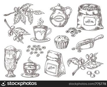Hand drawn coffee beans. Vintage sketch of coffee leaves branch roasted beans and bag. Vector isolated retro graphic sketch scoop and cup on white background. Hand drawn coffee beans. Vintage sketch of coffee leaves branch roasted beans and bag. Vector isolated retro graphic