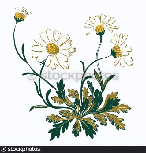 Hand drawn colorful bouquet of chamomile flowers isolated on white. Vector illustration