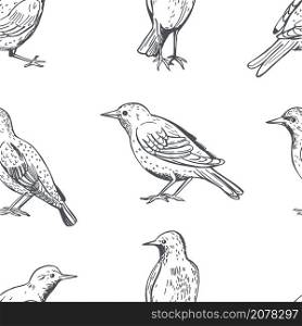Hand drawn common starling (Sturnus vulgaris). Vector seamless pattern. . Common starling. Vector pattern.