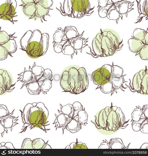 Hand drawn cotton plant. Vector seamless pattern.. Vector seamless pattern with cotton