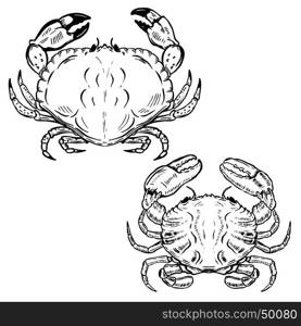 Hand drawn crabs isolated on white background. Design elements for poster, emblem, sign, seafood restaurant menu. Vector illustration
