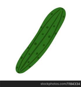 Hand drawn cucumber isolated on white background. Doodle vegetable. Vegetarian healthy food. Fresh organic ingredient. Vector illustration. Hand drawn cucumber isolated on white background. Doodle vegetable.