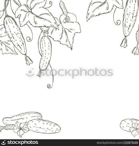 Hand drawn cucumber with leaves and flowers. Vector background. Sketch illustration.