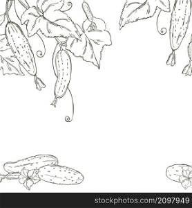 Hand drawn cucumber with leaves and flowers. Vector background. Sketch illustration.
