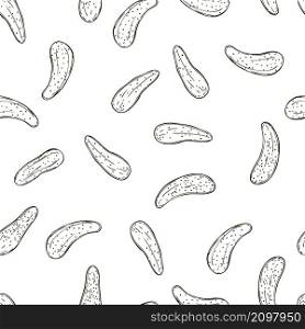 Hand drawn cucumbers gherkins. Vector seamless pattern