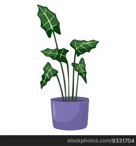 Hand drawn cute illustration of growing alocasia in pot. Vector simple colored doodle style.Home plant icon or print. Hand drawn cute illustration of growing alocasia in pot. Vector simple colored doodle style.Home plant icon or print.