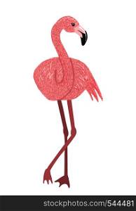 Hand drawn cute pink flamingo isolated on white background. Tropical bird. Vector illustration.. Cute Pink flamingo isolated on white background.