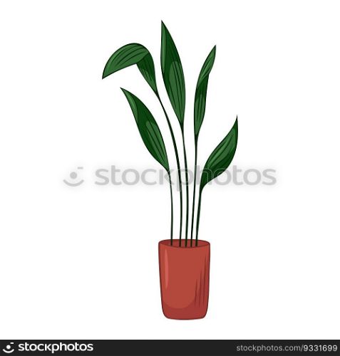 Hand drawn cute summer illustration of growing aspidistra in pot. Flat vector home plant icon Isolated on white background. Hand drawn cute summer illustration of growing aspidistra in pot. Flat vector home plant icon Isolated on white background.